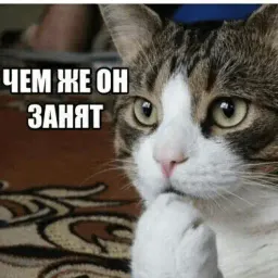 Котик Цмок 2 sticker 6