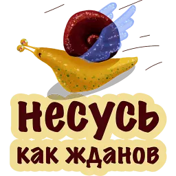 Улитка ОПАЗДАНКА @TuristasTV sticker 6