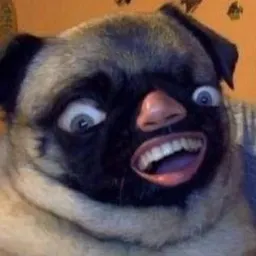 Funny Animals (@tanyastorm) sticker 11
