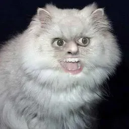 Funny Animals (@tanyastorm) sticker 12