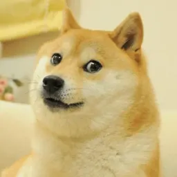 Funny Animals (@tanyastorm) sticker 3