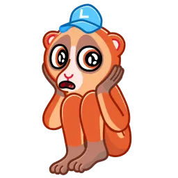 Лемур Лорис sticker 4