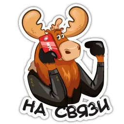 Losiliy sticker 3