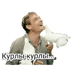 Любовь и голуби sticker 11
