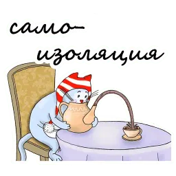Волшебный кот Telegram sticker pack