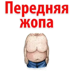 🐷 Типы Мужских Сисек @TuristasTV sticker 11