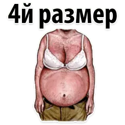 🐷 Типы Мужских Сисек @TuristasTV sticker 4