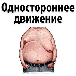 🐷 Типы Мужских Сисек @TuristasTV sticker 6