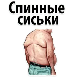 🐷 Типы Мужских Сисек @TuristasTV sticker 8