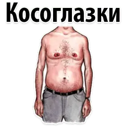 🐷 Типы Мужских Сисек @TuristasTV sticker 9