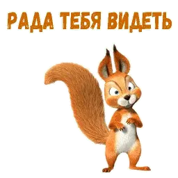 Заяц, ёж и белка Telegram sticker pack