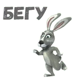 Заяц, ёж и белка sticker 10