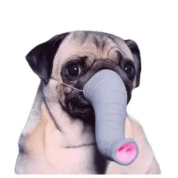 Meet The Pugs ( @Perkovec ) sticker 2