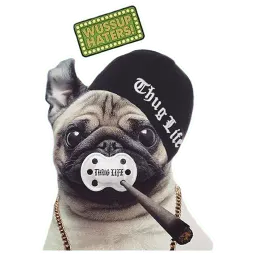 Meet The Pugs ( @Perkovec ) sticker 12