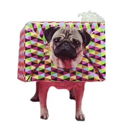 Meet The Pugs ( @Perkovec ) sticker 5
