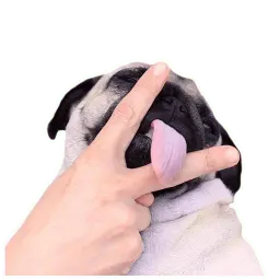 Meet The Pugs ( @Perkovec ) sticker 6