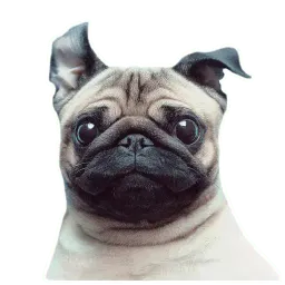 Meet The Pugs ( @Perkovec ) sticker 8