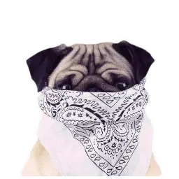 Meet The Pugs ( @Perkovec ) sticker 9