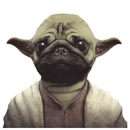 Meet The Pugs ( @Perkovec ) sticker 10