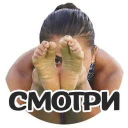 МЕМЫ @TuristasTV sticker 3