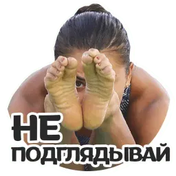 МЕМЫ @TuristasTV sticker 4