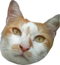 Мявс Вика Смирнова Telegram sticker pack