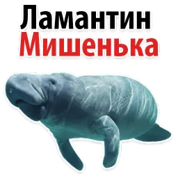 Мишенька ЛАМАНТИН @TuristasTV Telegram sticker pack
