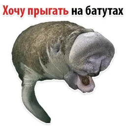 Мишенька ЛАМАНТИН @TuristasTV sticker 12