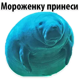 Мишенька ЛАМАНТИН @TuristasTV sticker 3