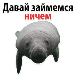 Мишенька ЛАМАНТИН @TuristasTV sticker 4