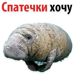 Мишенька ЛАМАНТИН @TuristasTV sticker 5
