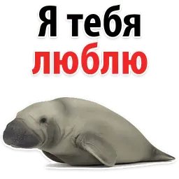 Мишенька ЛАМАНТИН @TuristasTV sticker 7