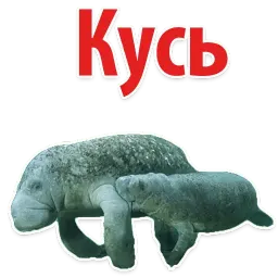 Мишенька ЛАМАНТИН @TuristasTV sticker 10