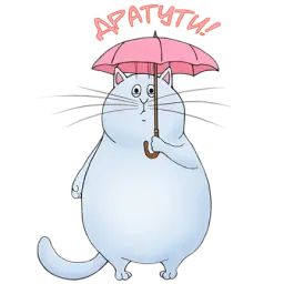 Котейка Telegram sticker pack