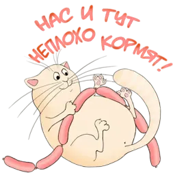 Котейка sticker 7
