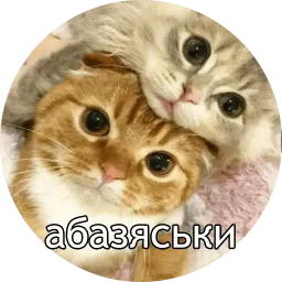 Котиковы sticker 11