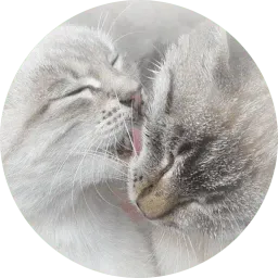 Котиковы sticker 5