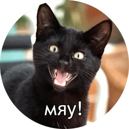 Котиковы sticker 6