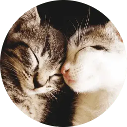 Котиковы sticker 9