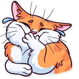 Meme Cats Telegram sticker pack