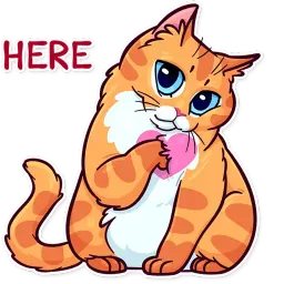 Meme Cats sticker 11