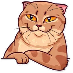 Meme Cats sticker 8
