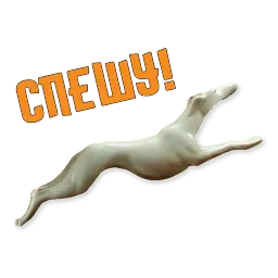 Monday Dogs sticker 4