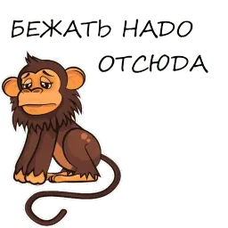 Monkeys sticker 12