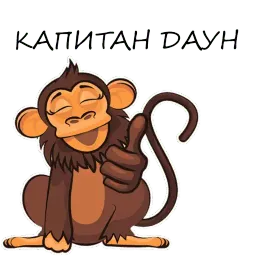 Monkeys sticker 5