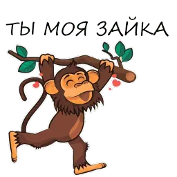Monkeys sticker 6