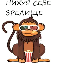 Monkeys sticker 9
