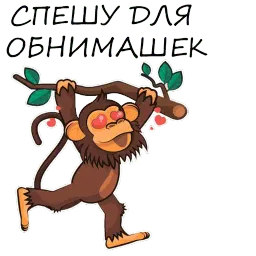 Monkeys sticker 10
