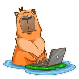 Mr. Capybara sticker 8