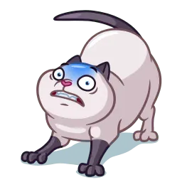 Мистер Кот sticker 4